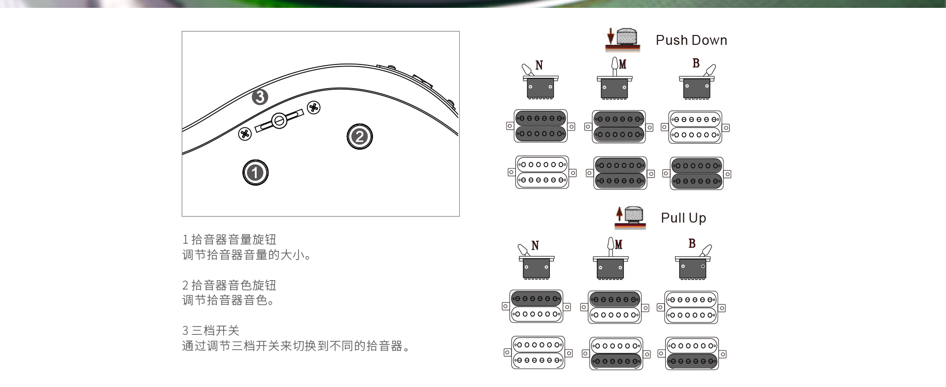 leaf-200修改_09.jpg